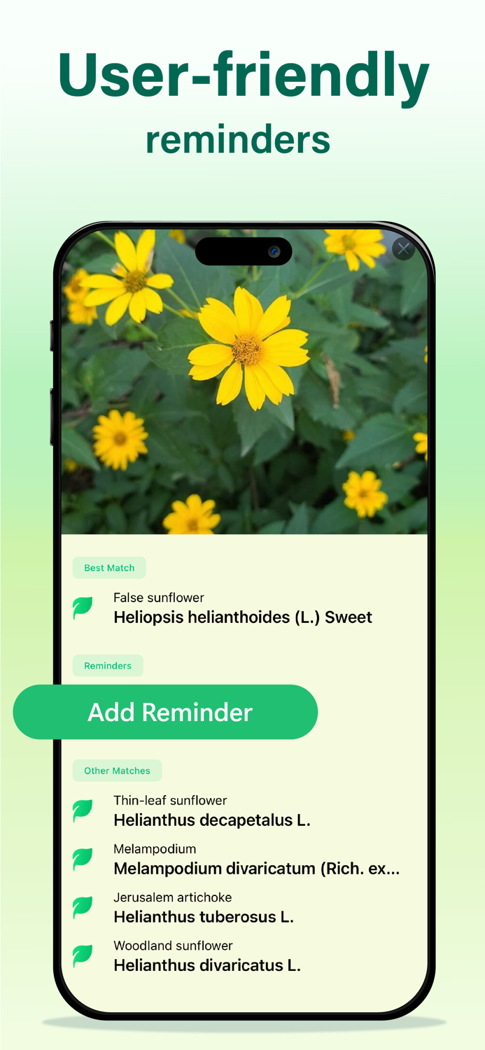 Identify Any Plant Instantly