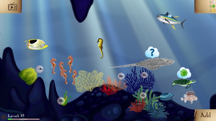 Coral Reef Ocean screenshot-6