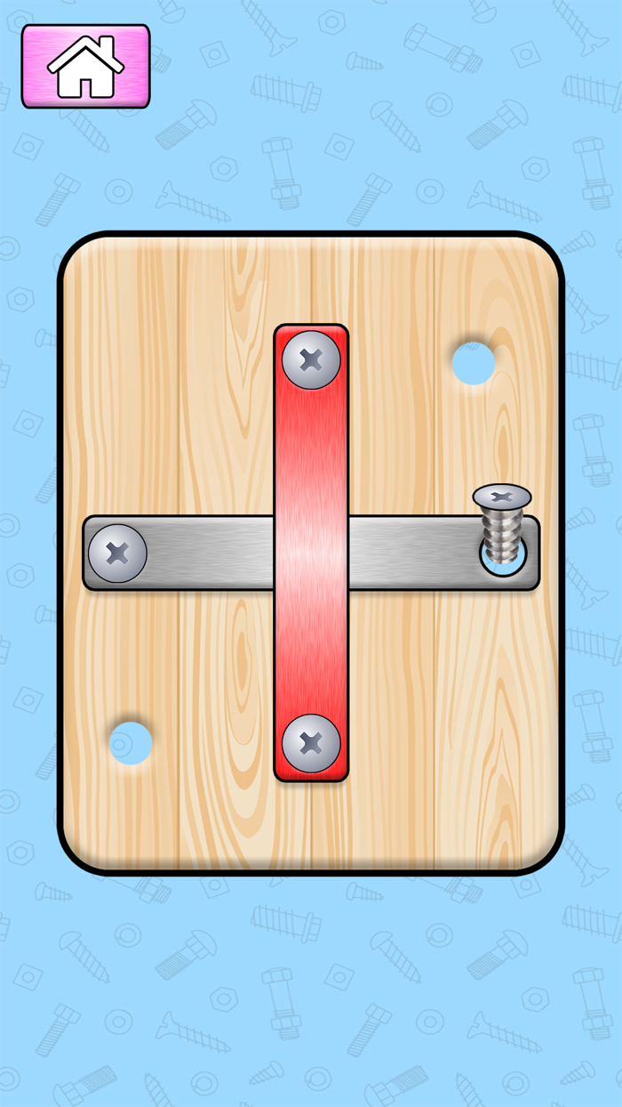 Screw Pin Puzzle Nuts Bolts