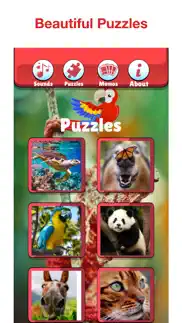 wild animal puzzles for kids! problems & solutions and troubleshooting guide - 2