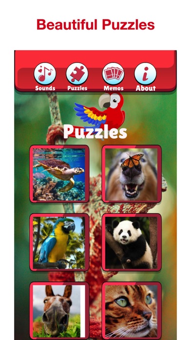 Wild Animal Puzzles for Kids! Screenshot