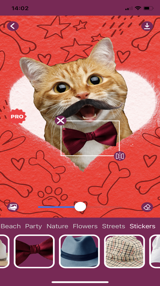 #10. Cat Photo Editor! (iOS) Ved: Random Step