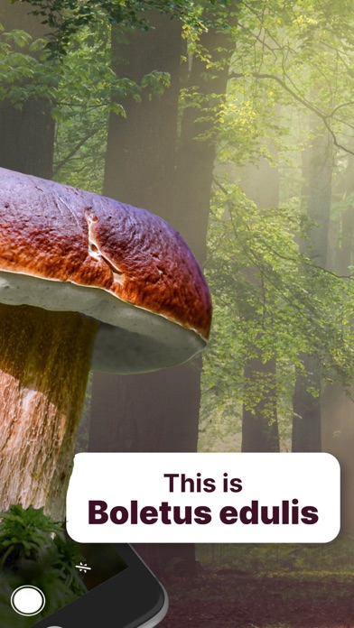 Mushroom Identification! Screenshot