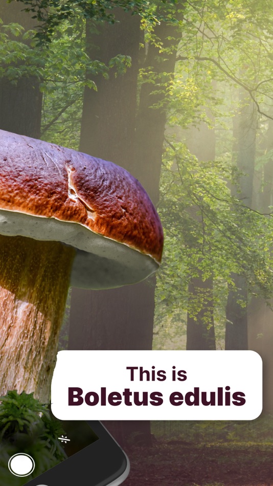 #2. AI Mushroom Identifier App (iOS) 由: DMYTRO CHERNOV