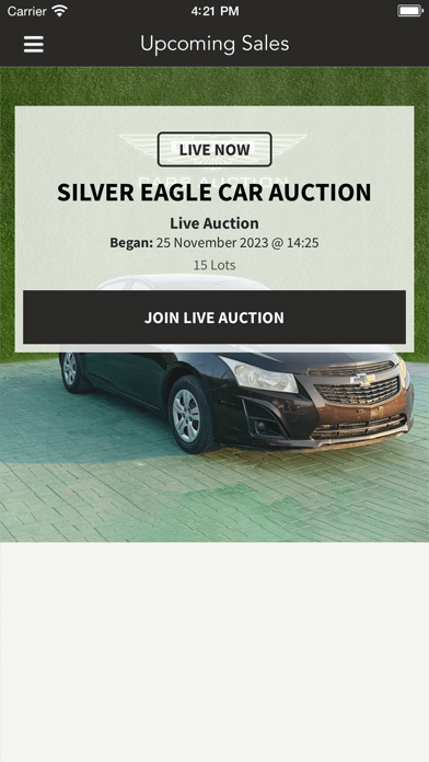 Silver Eagle Auctions Screenshot