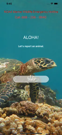 Game screenshot HI Hawksbill Conservation apk