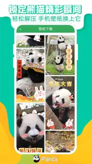 熊猫频道 iphone screenshot 3