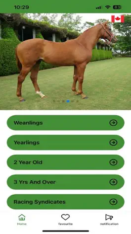 Game screenshot Just Horses mod apk
