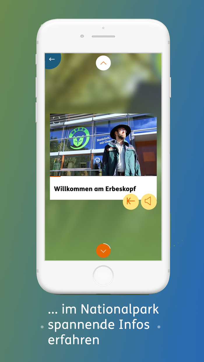 Hunsrück-Hochwald Nationalpark