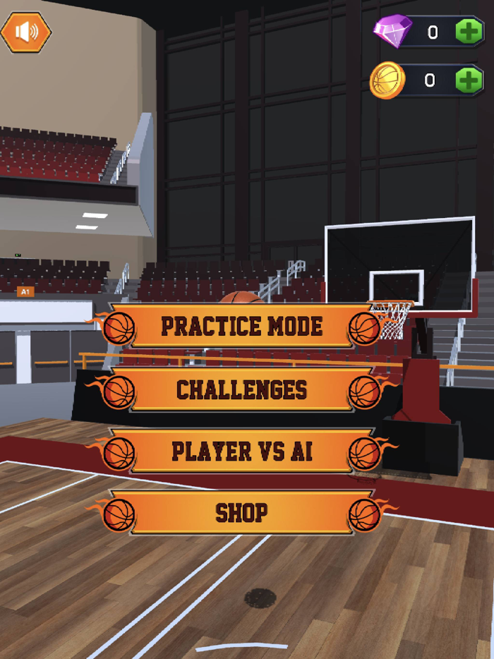 Basketball Court Training 3D
