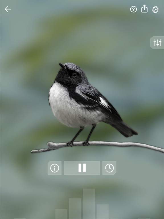 Screenshot #6 pour Sons d'oiseaux: Bird Sounds