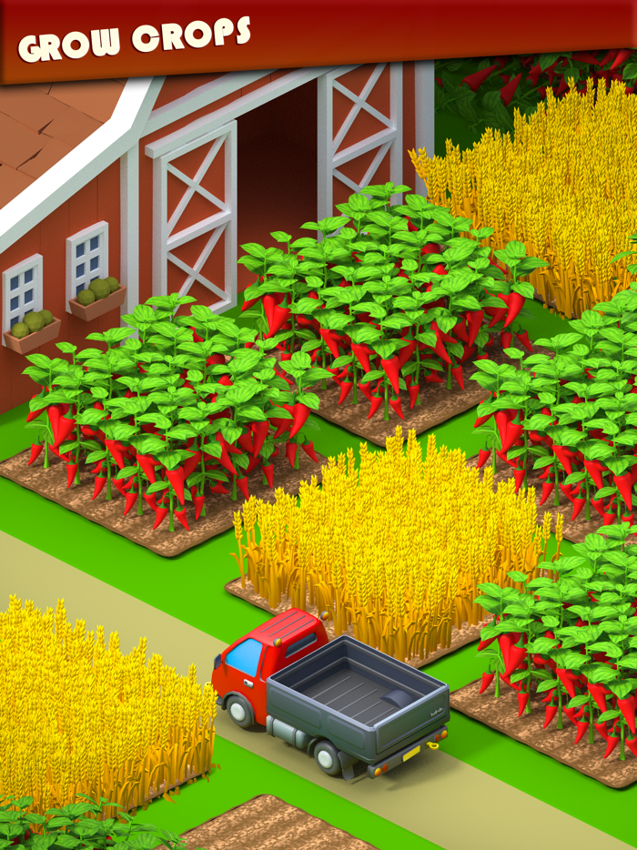 Island Town City and Building