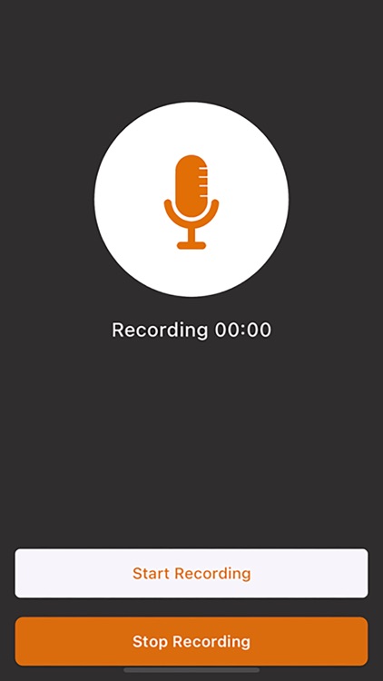 Fast nice audio recorder