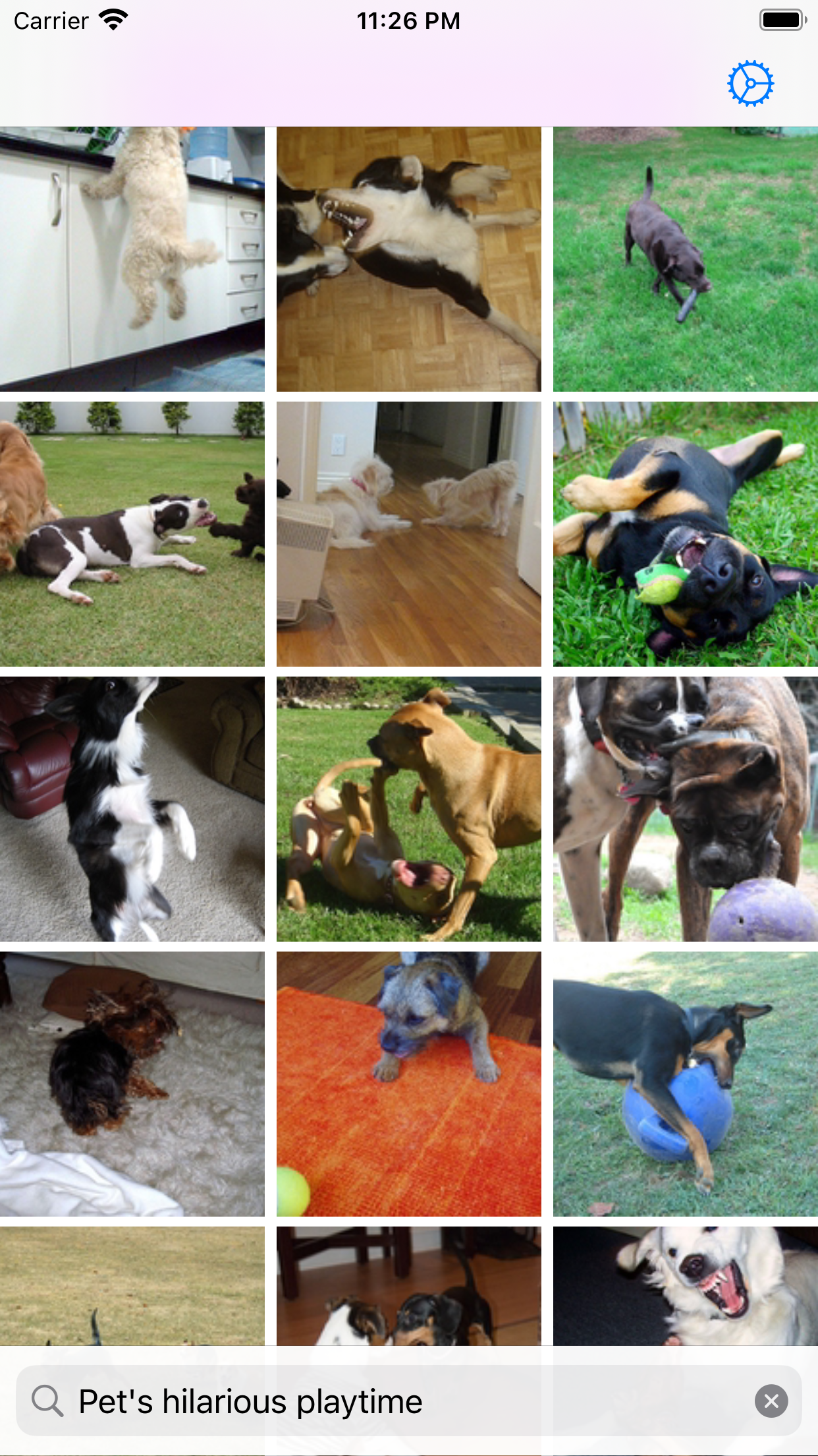 PhotoSearcher