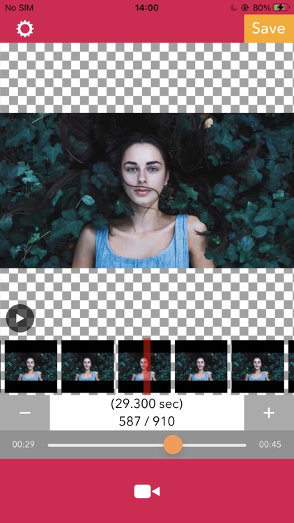 iDrip - Video To Photo