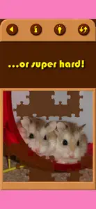 Hamster Jigsaw Puzzle Games screenshot #4 for iPhone