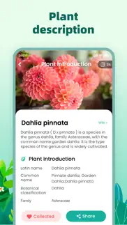 plant master – identify plants iphone screenshot 3