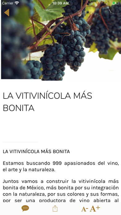 Casa Fronda Screenshot