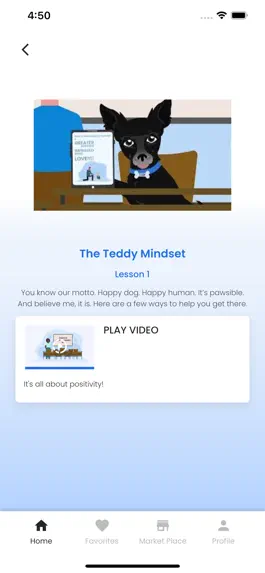 Game screenshot TEDDY: Positive Dog Training mod apk