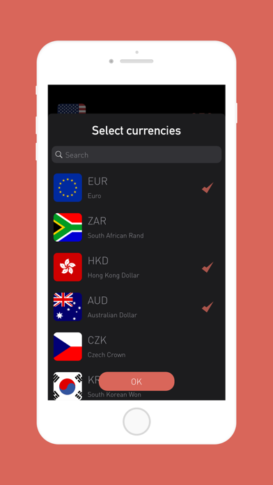 Currency Converter - Travel Screenshot