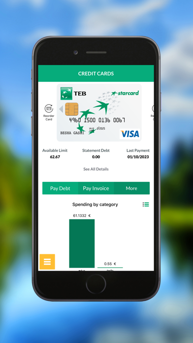 TebMobile Screenshot
