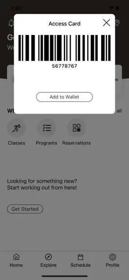 Game screenshot STAC - Steamboat Athletic Club apk