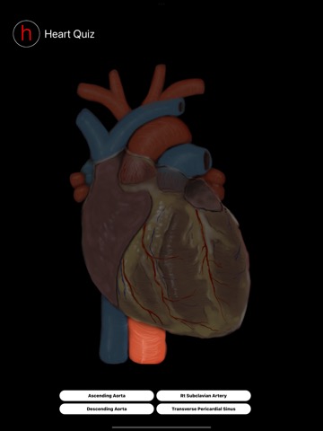 Human Heart Anatomy Quizのおすすめ画像4