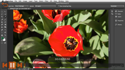 Screenshot #3 pour Retouching & Adjustments Guide