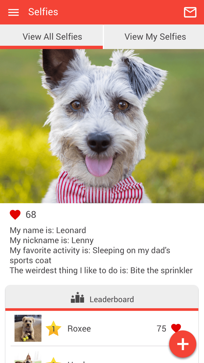 South Point Pet Hospital