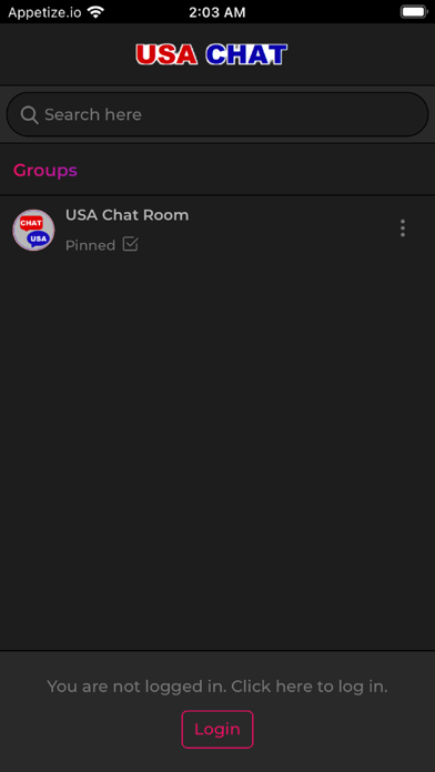 USA Chat Room Screenshot