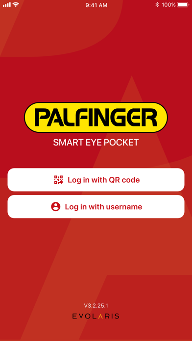 PALFINGER Smart Eye Screenshot