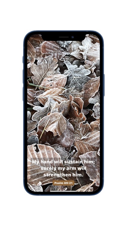 Uplift - Your Daily Scripture