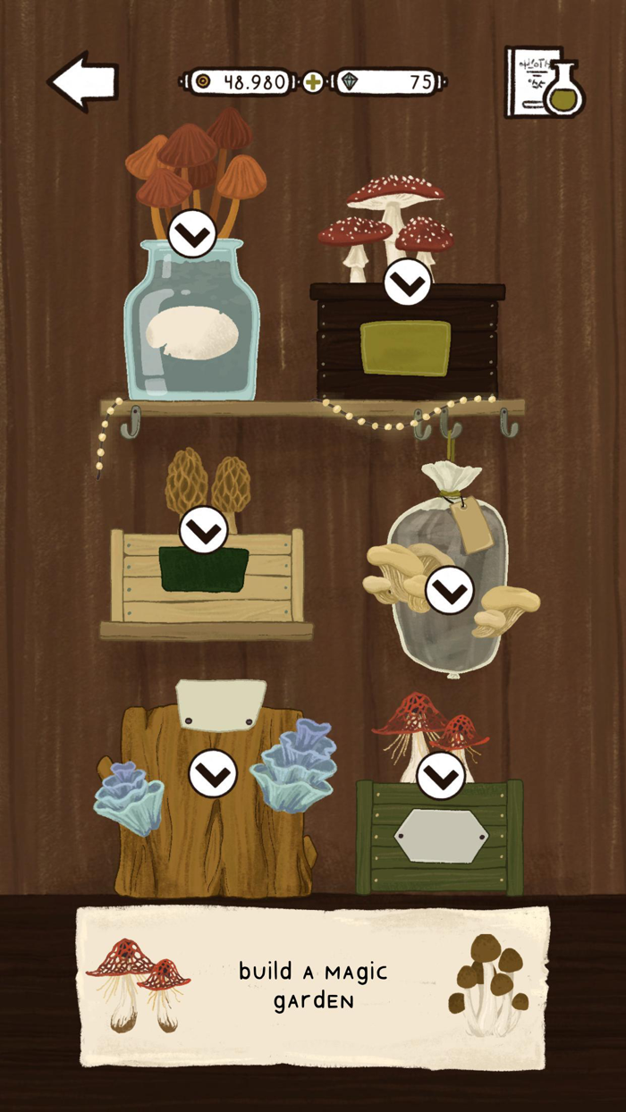 Olivia. The Witchs Magic Shop