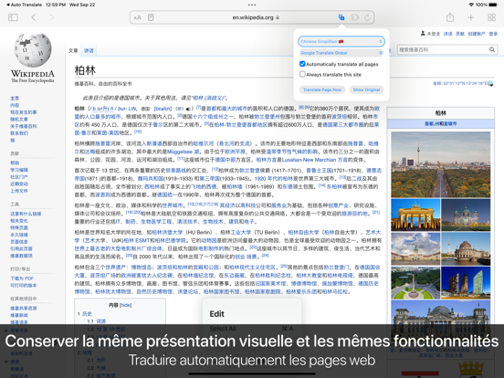 Screenshot #5 pour Auto Translate for Safari