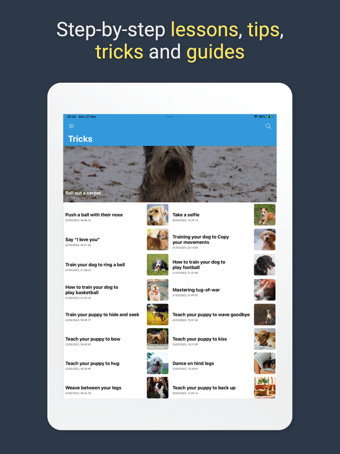 Pawfect Life - Puppy Training