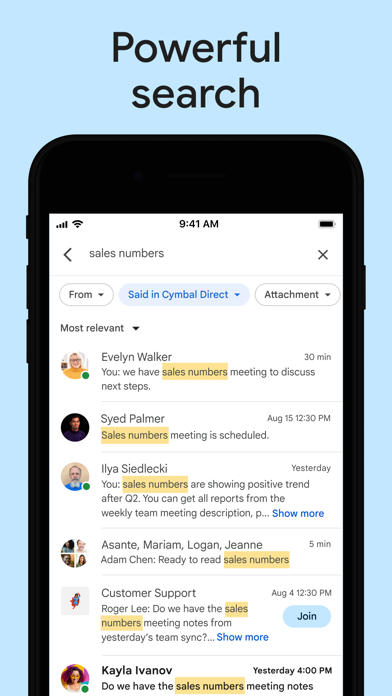 Google Chat Screenshot