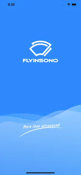 Game screenshot Flyinsono mod apk