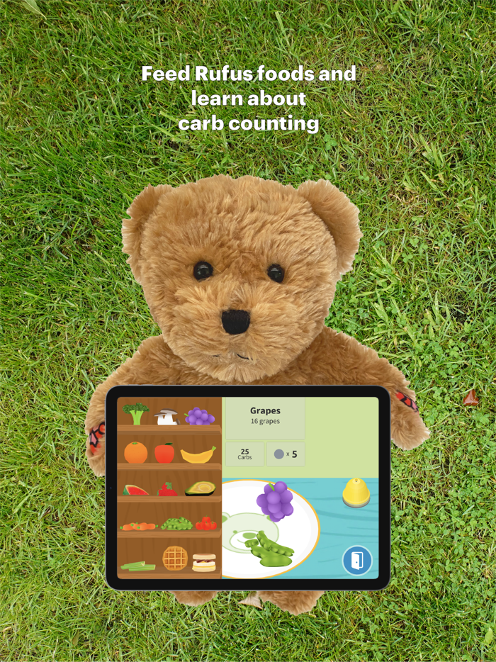 Rufus the Bear with Diabetes