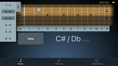 Fretronome Screenshot