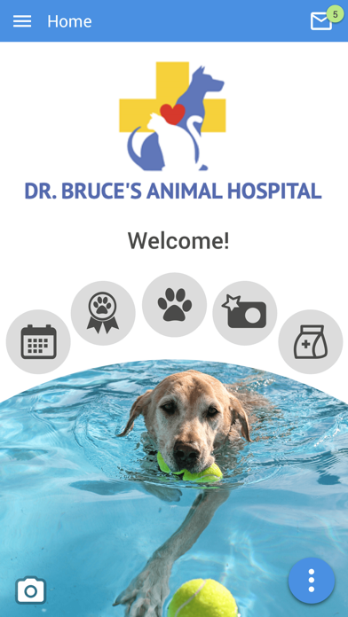 Dr Bruces Animal Hospital Screenshot