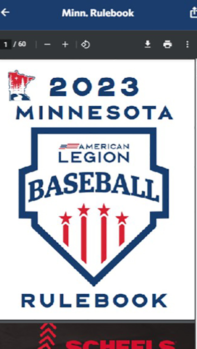 Minnesota Legion Baseball Screenshot