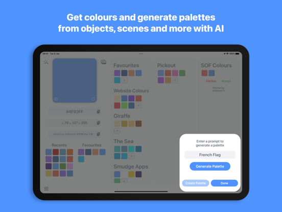 Developer Colour Palette iPad screenshot