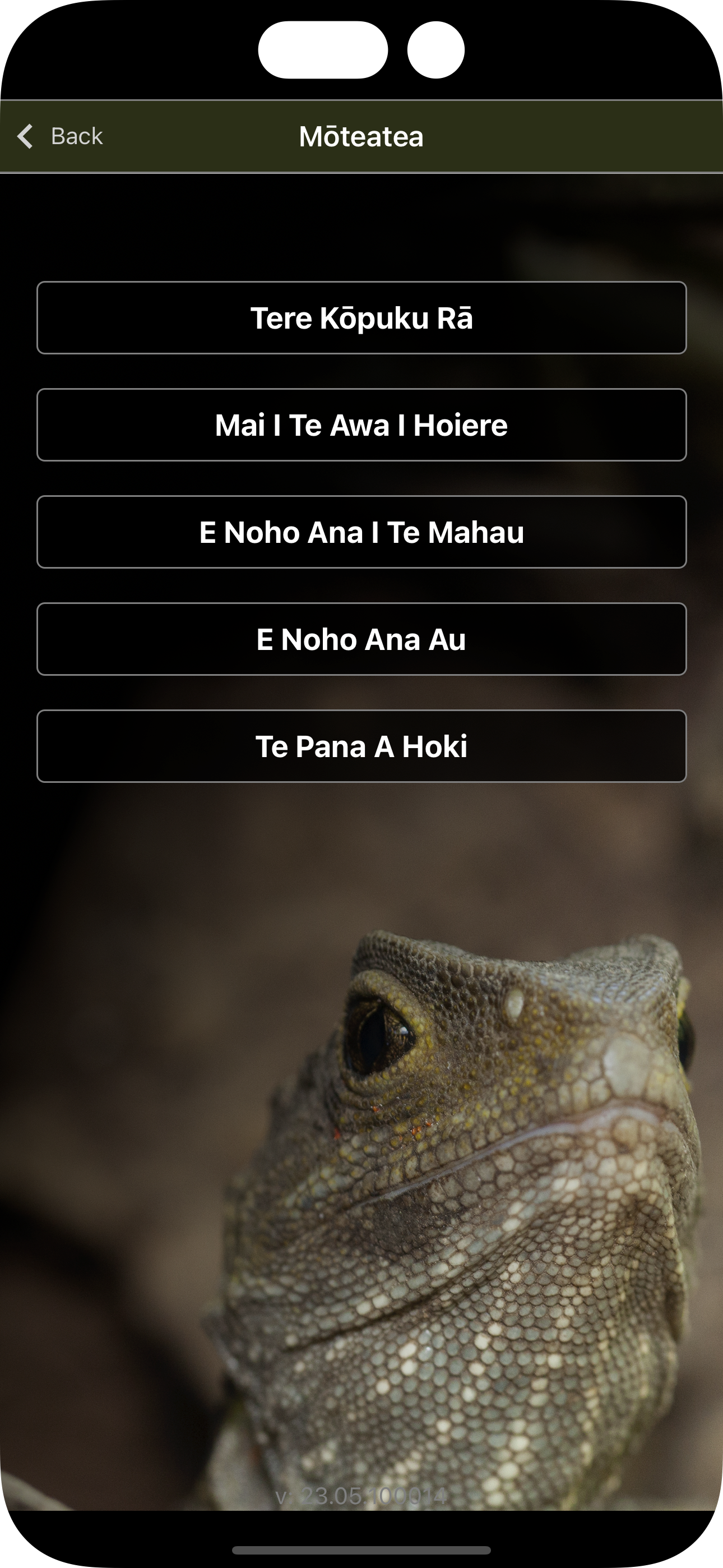 Ngāti Koata