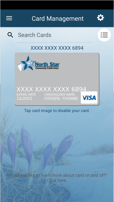North Star CCU Screenshot