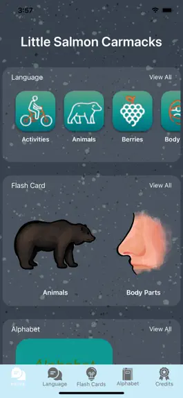 Game screenshot Little Salmon Carmacks mod apk