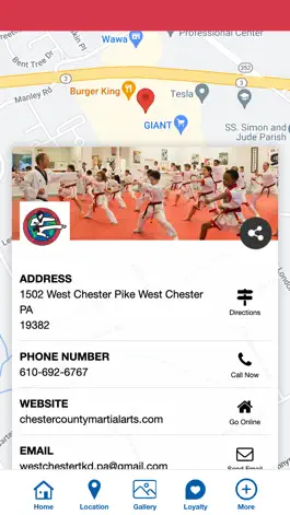 Game screenshot Master P's World Class TKD apk