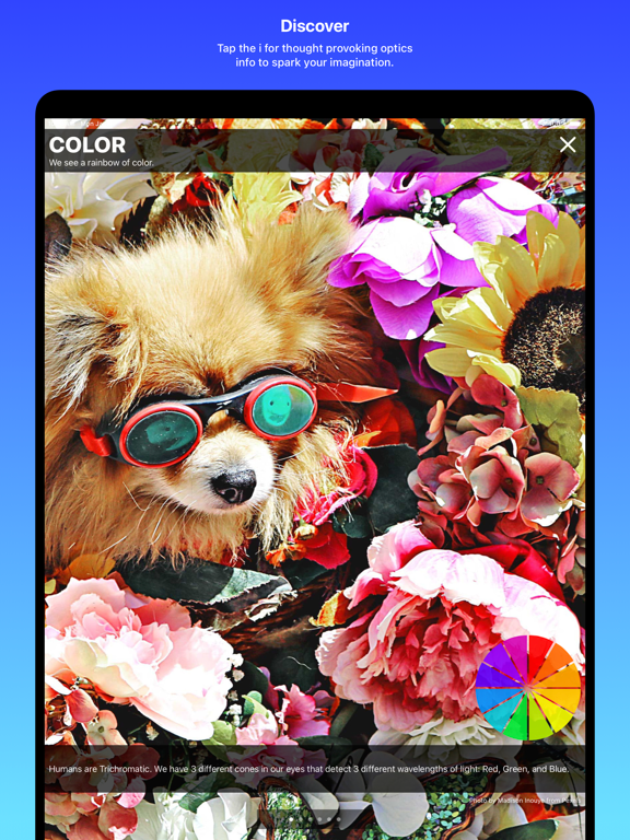 Dog Optics iPad screenshot 4 - Entertainment app