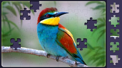 Relax Jigsaw Puzzles screenshot 5