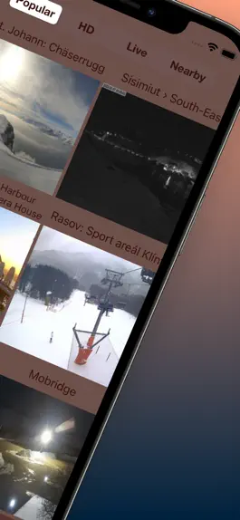 Game screenshot Live Webcam apk