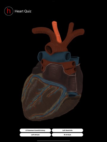 Human Heart Anatomy Quizのおすすめ画像8